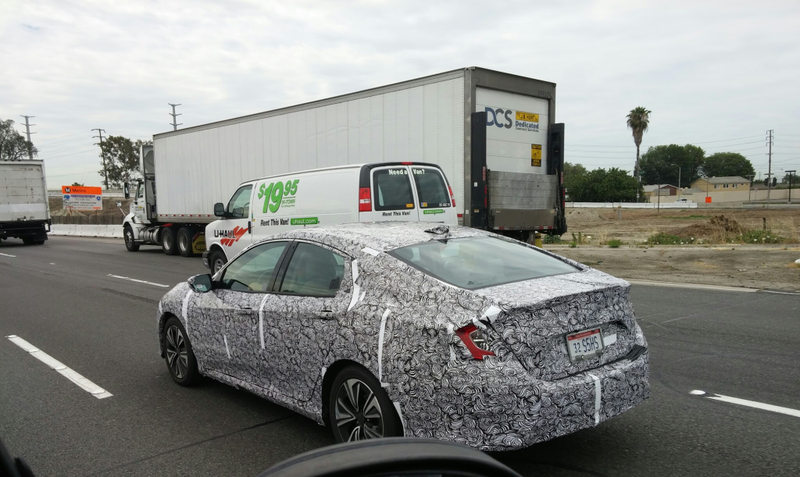 Illustration for article titled Zebra Spotted on the Road In SoCal!